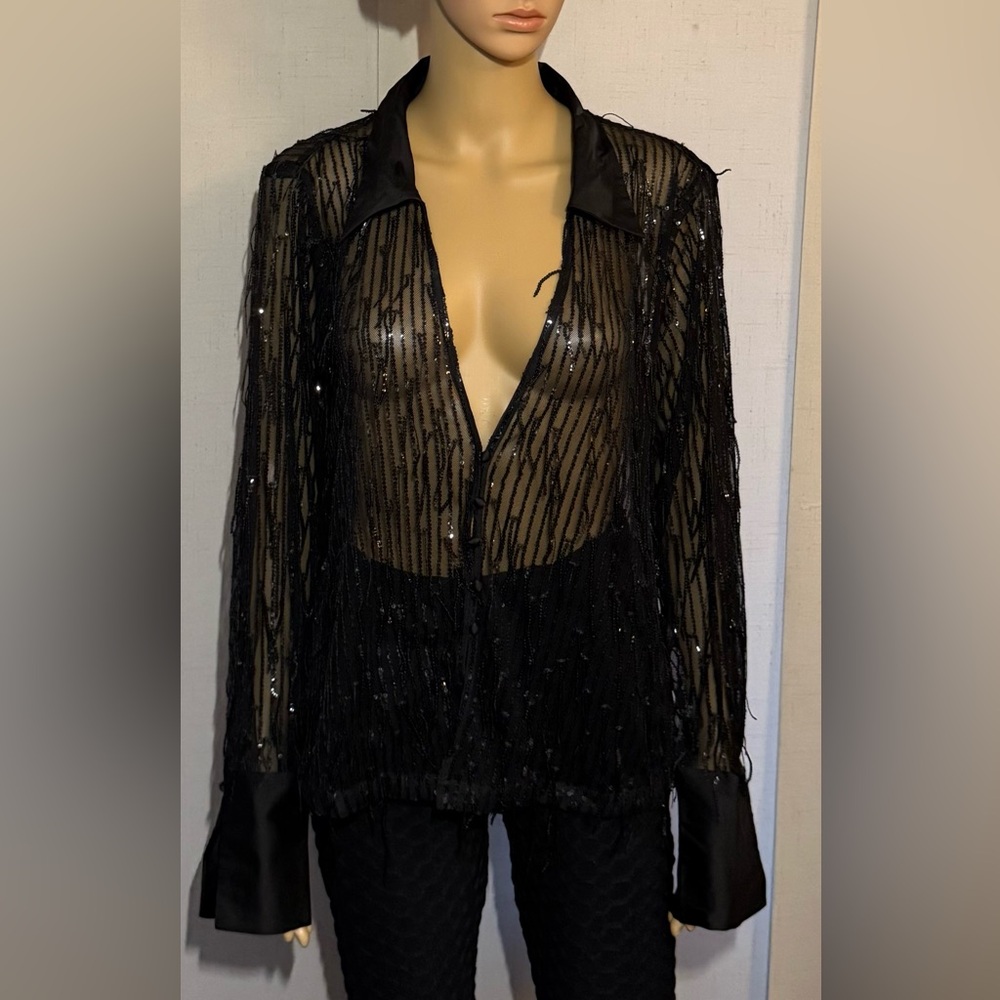 H&M sequin & tassel, sheer, buttoned down blouse. Satin collar and cuffs. Sz.L